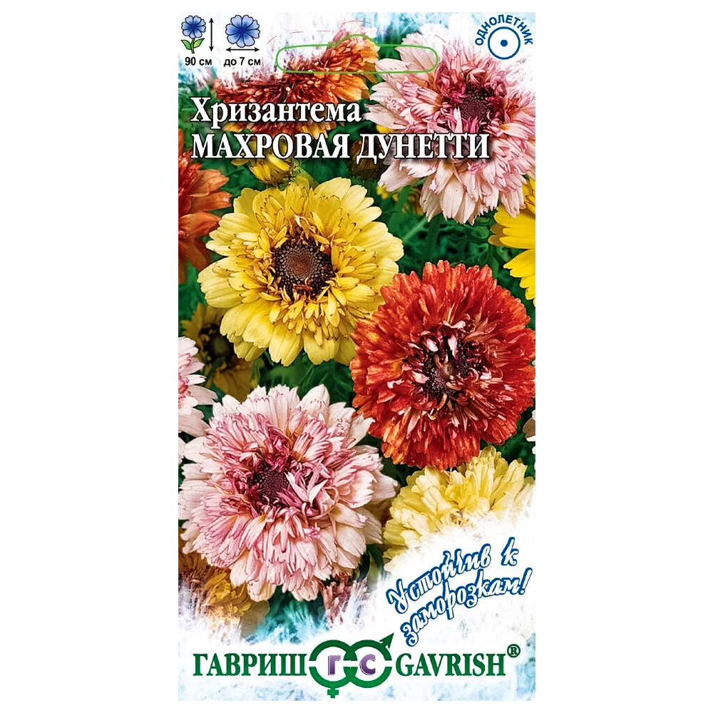 Хризантема Дунетти, смесь окрасок Гавриш
Хризантема Дунетти, смесь окрасок Гавриш