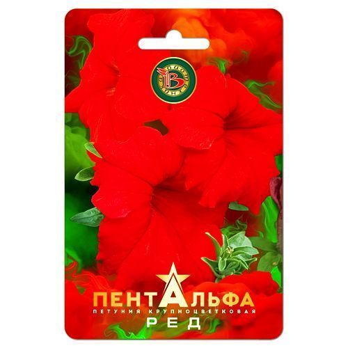 Петуния крупноцветковая Пентальфа Ред F1 Биотехника
Петуния крупноцветковая Пентальфа Ред F1 Биотехника