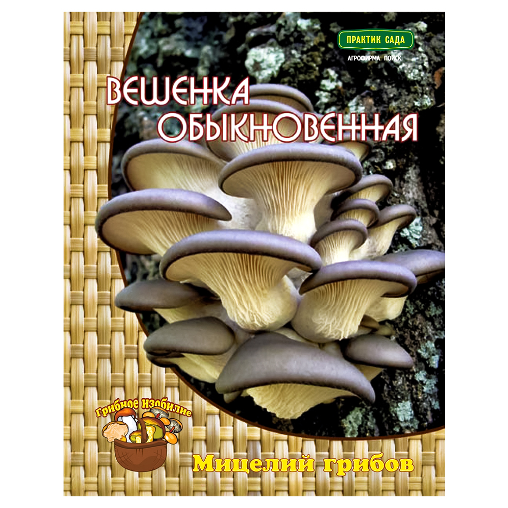 Вешенка обыкновенная Поиск
Вешенка обыкновенная Поиск