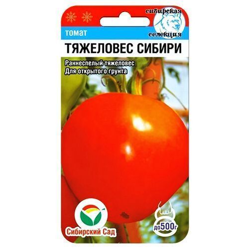 Томат Тяжеловес Сибири Сибирский сад 
Томат Тяжеловес Сибири Сибирский сад