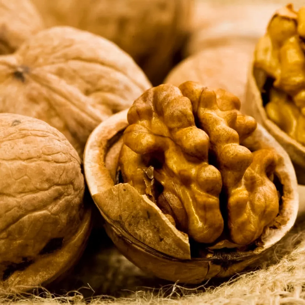 ОрехгрецкийкрупноплодныйБуковинскаябомба