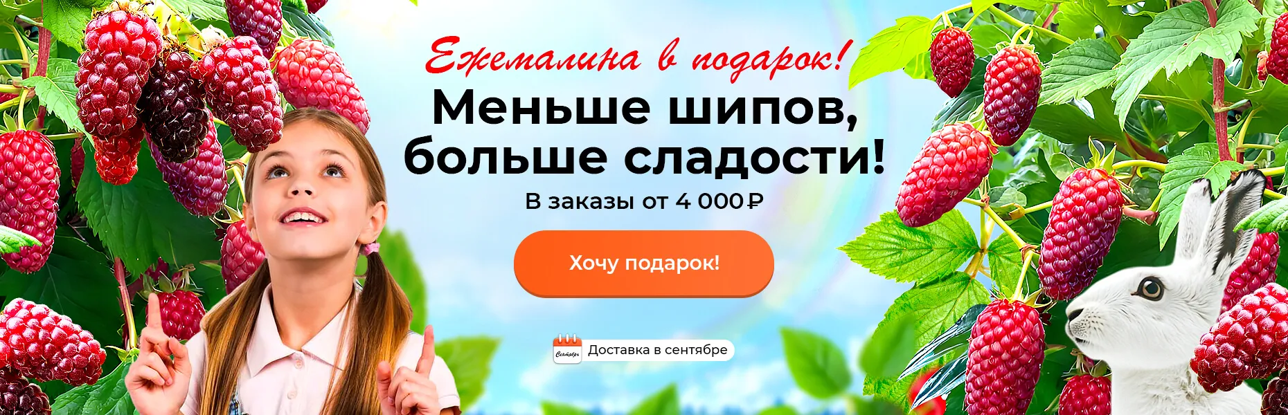 Ежемалина в подарок! Меньше шипов, больше сладости! В заказы от 4000 рублей