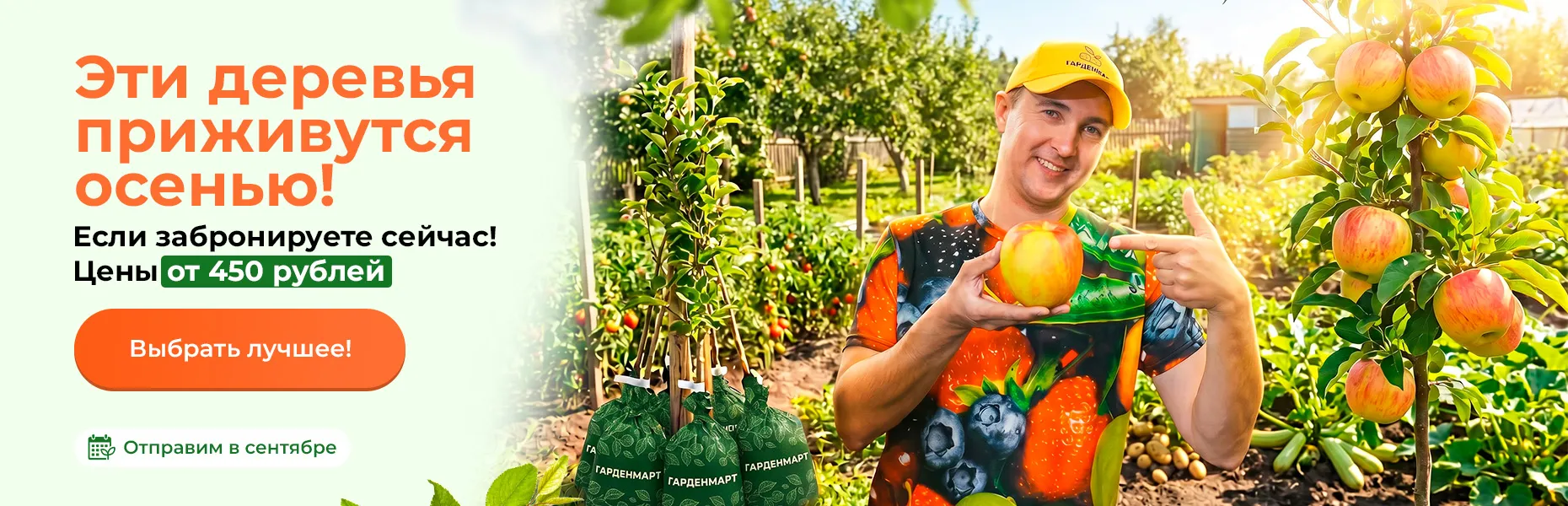 Эти деревья приживутся осенью! Если забронируете сейчас! Цены от 450 рублей. Отправим в сентябре