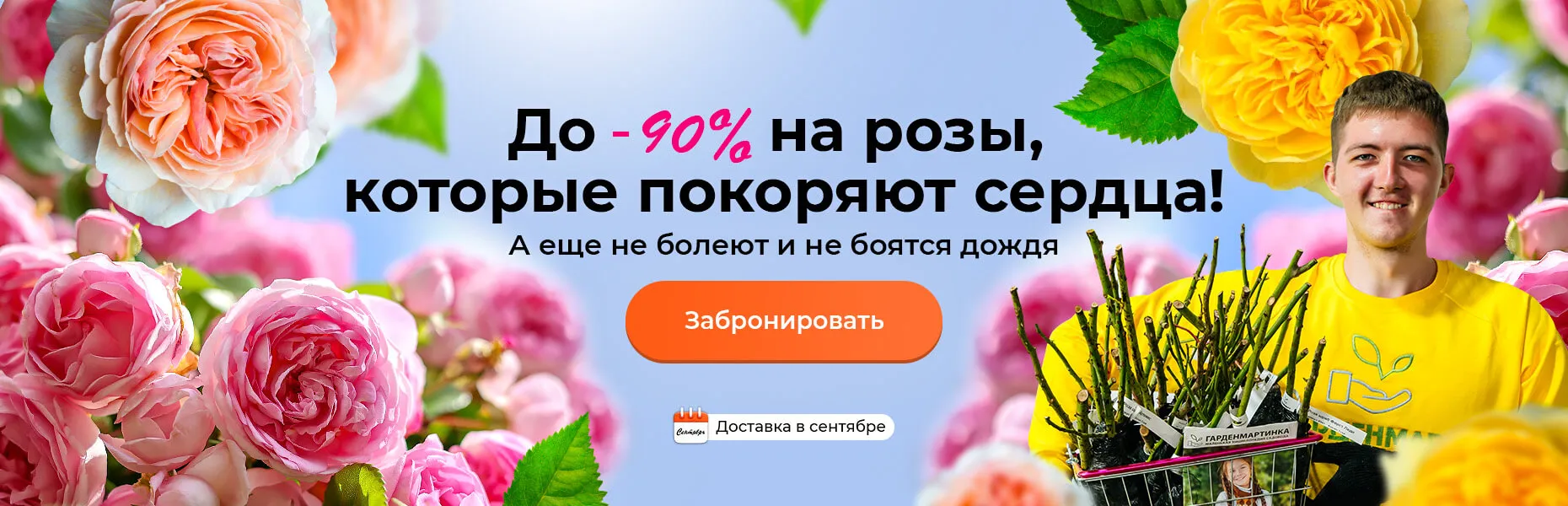 До -90% на розы, которые покоряют сердца! А еще не болеют и не боятся дождя