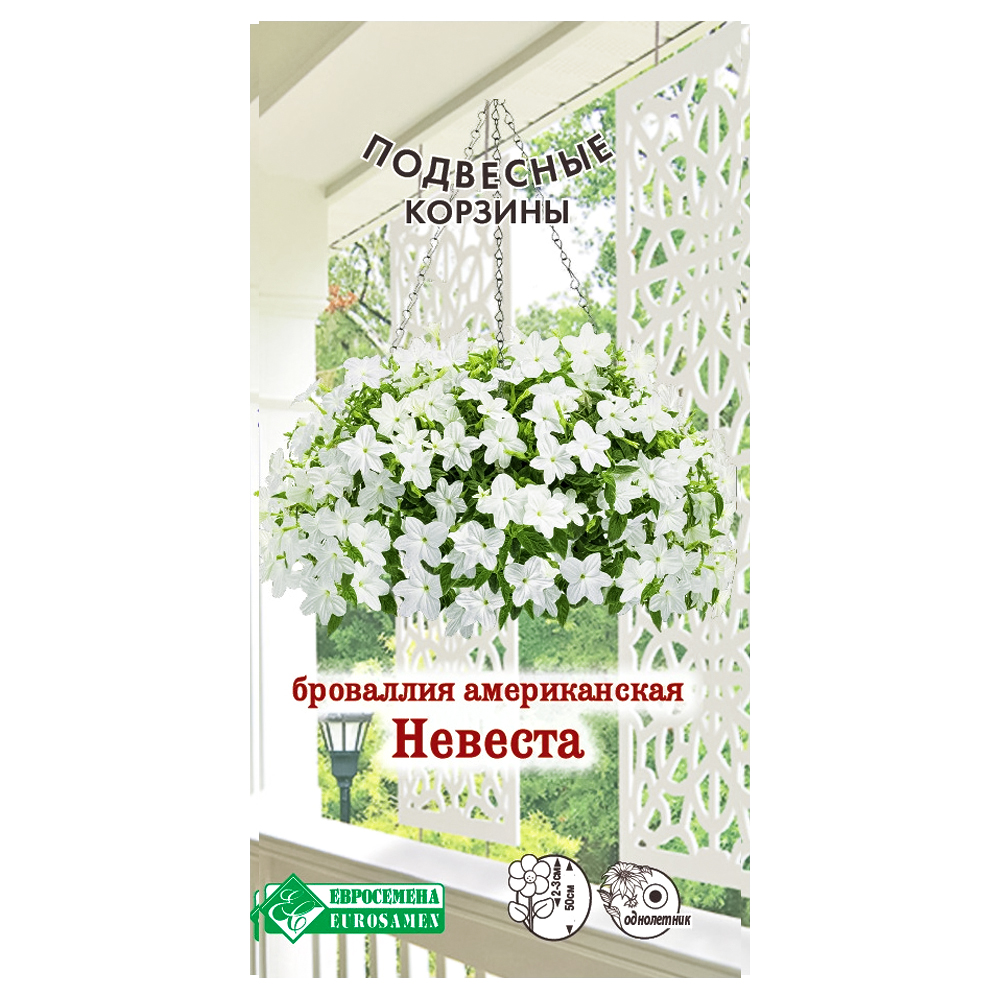 

Броваллия американская Невеста Евросемена