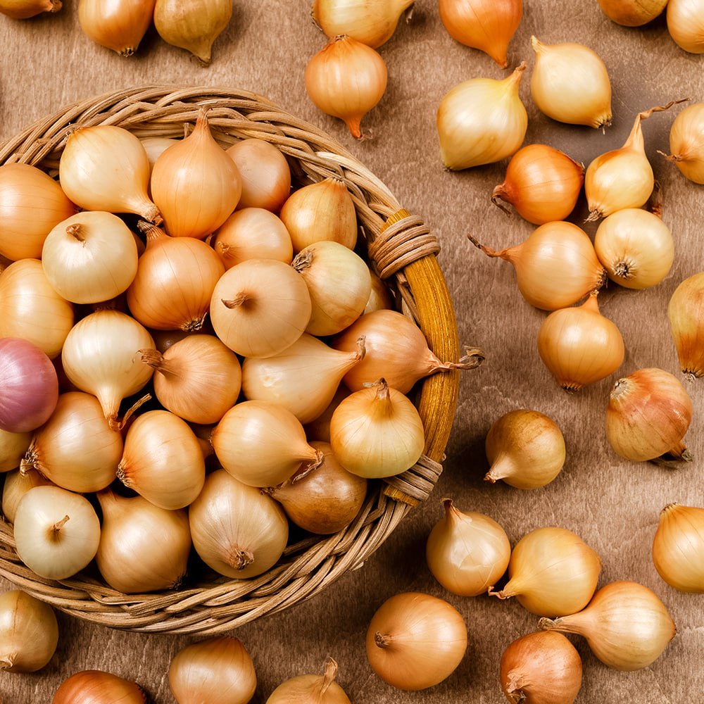 

Лук-севок Стурон