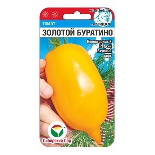 

Томат Золотой Буратино Сибирский сад