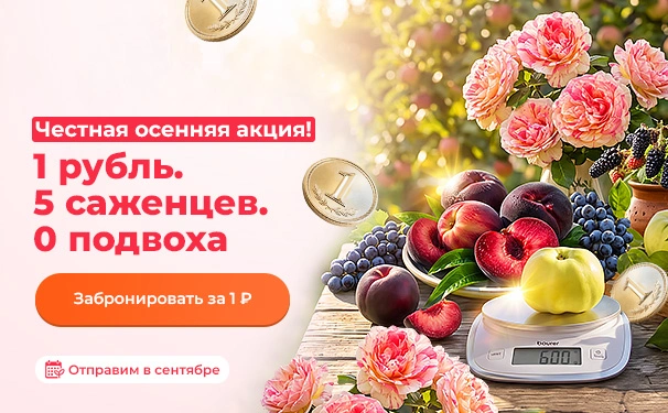Честная акция! 1 рубль. 5 саженцев. 0 подвоха. Отправим в сентябре