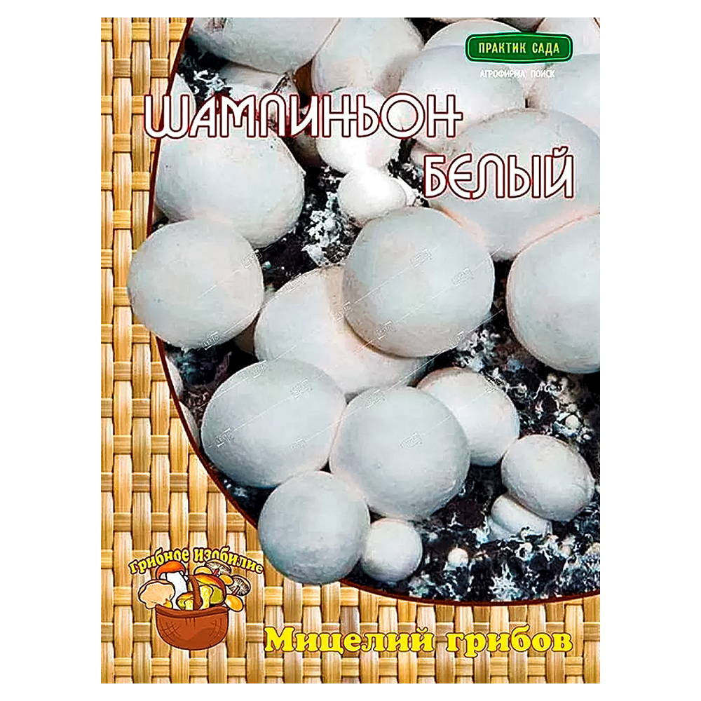 

Шампиньон белый Поиск