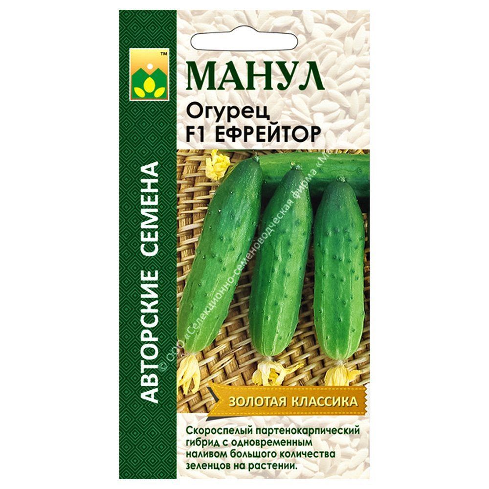 

Огурец Ефрейтор F1 Манул