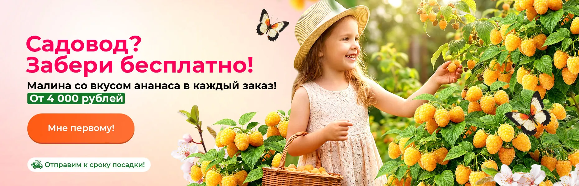 Садовод? Забери бесплатно! Малина со вкусом ананаса в каждый заказ! От 4000 рублей. Отправим к сроку посадки!