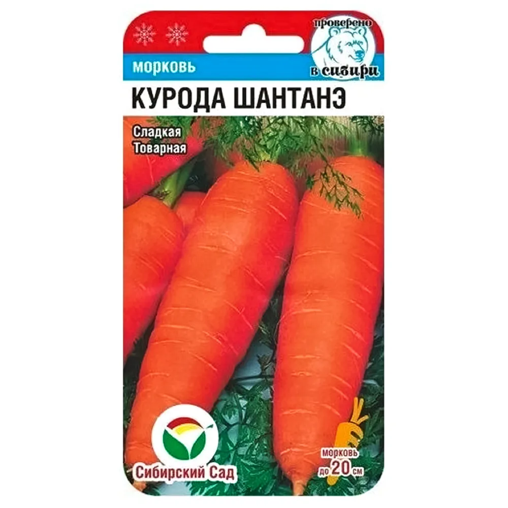 МорковьКуродаШантанэСибирскийсад