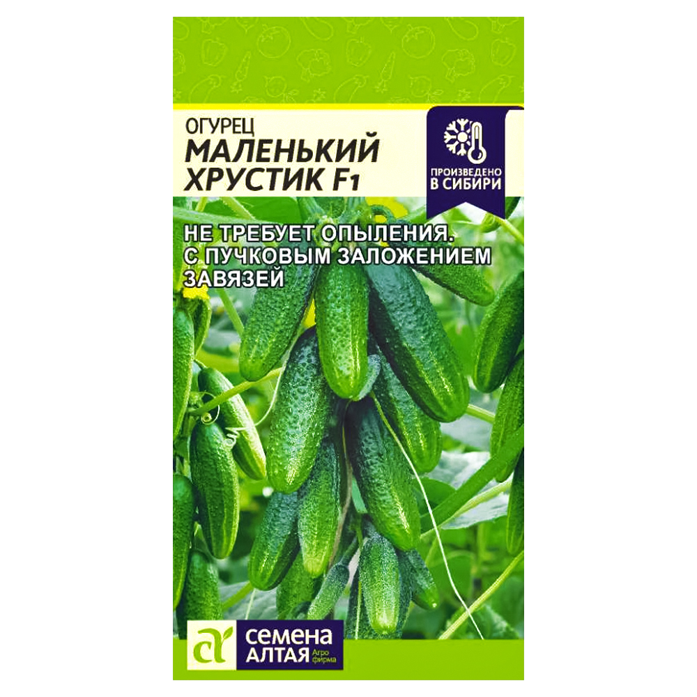 Огурец Маленький хрустик F1 Семена Алтая