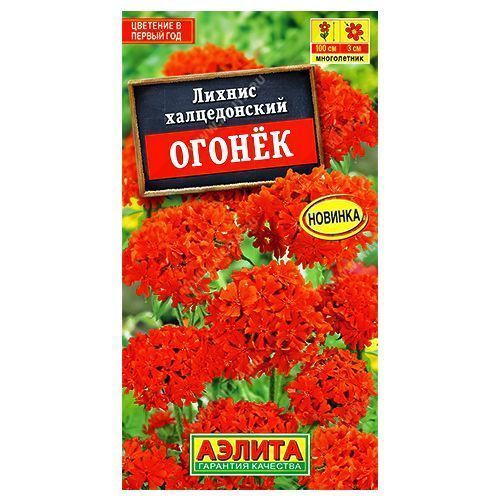 

Лихнис Огонек Аэлита