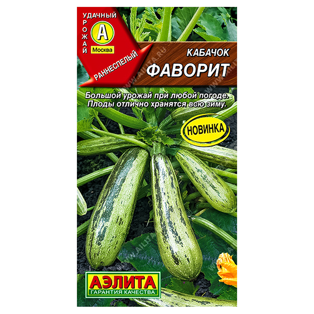 

Кабачок Фаворит Аэлита