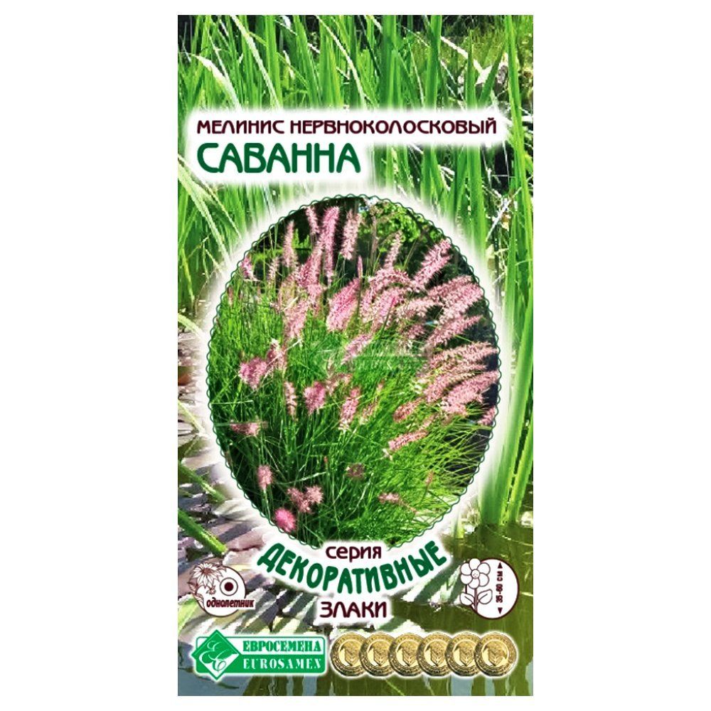 

Мелинис Саванна Евросемена