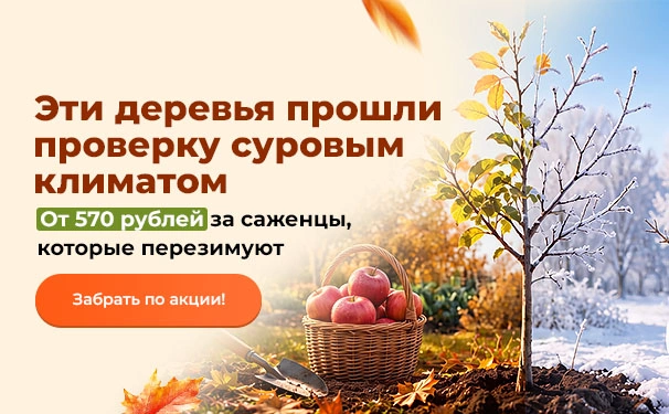 Эти деревья прошли проверку суровым климатом! От 570 рублей за саженцы, которые перезимуют