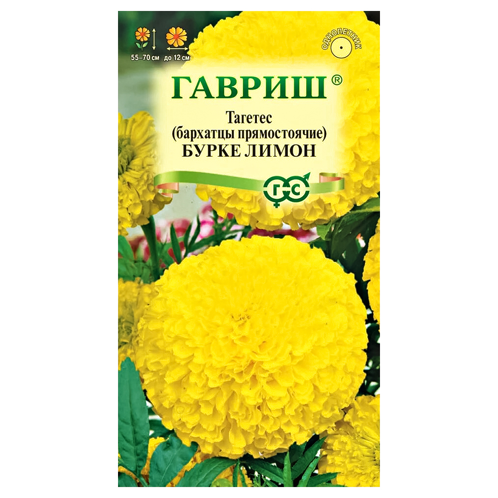 

Бархатцы прямостоячие Бурке Лимон Гавриш