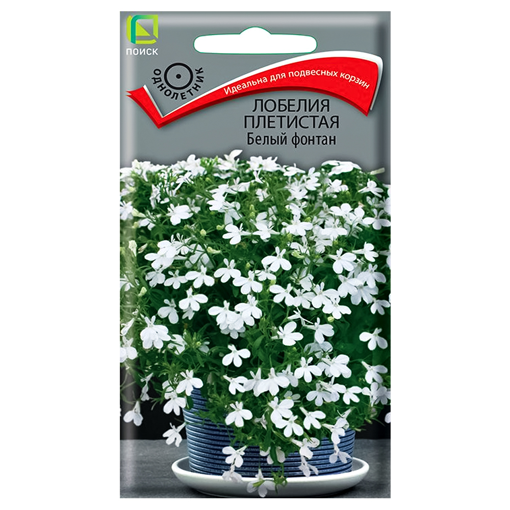 Лобелия плетистая Белый фонтан Поиск