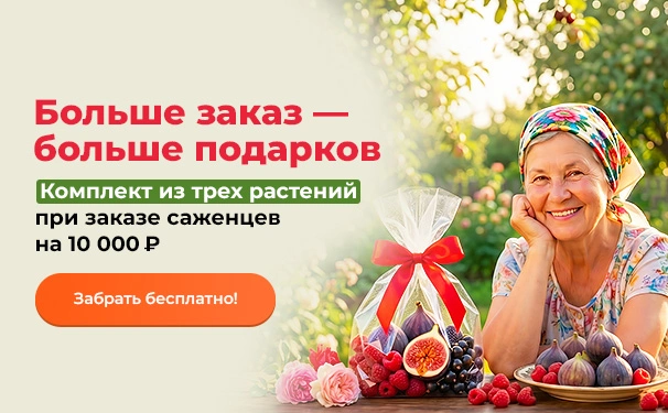 Больше заказ — больше подарков! Комплект из трех растений при заказе саженцев на 10 000 рублей