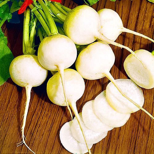 Дайкон Саша Уральский дачник