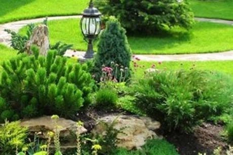 Создать шедевр не сложно!  Альпийская горка: как сделать удивительный альпинарий своими руками