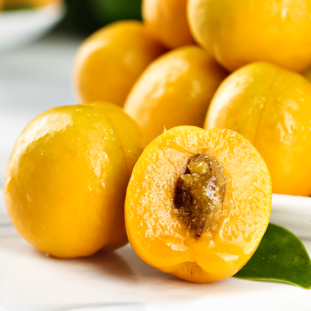 

Абрикос болезнеустойчивый Челябинский ранний