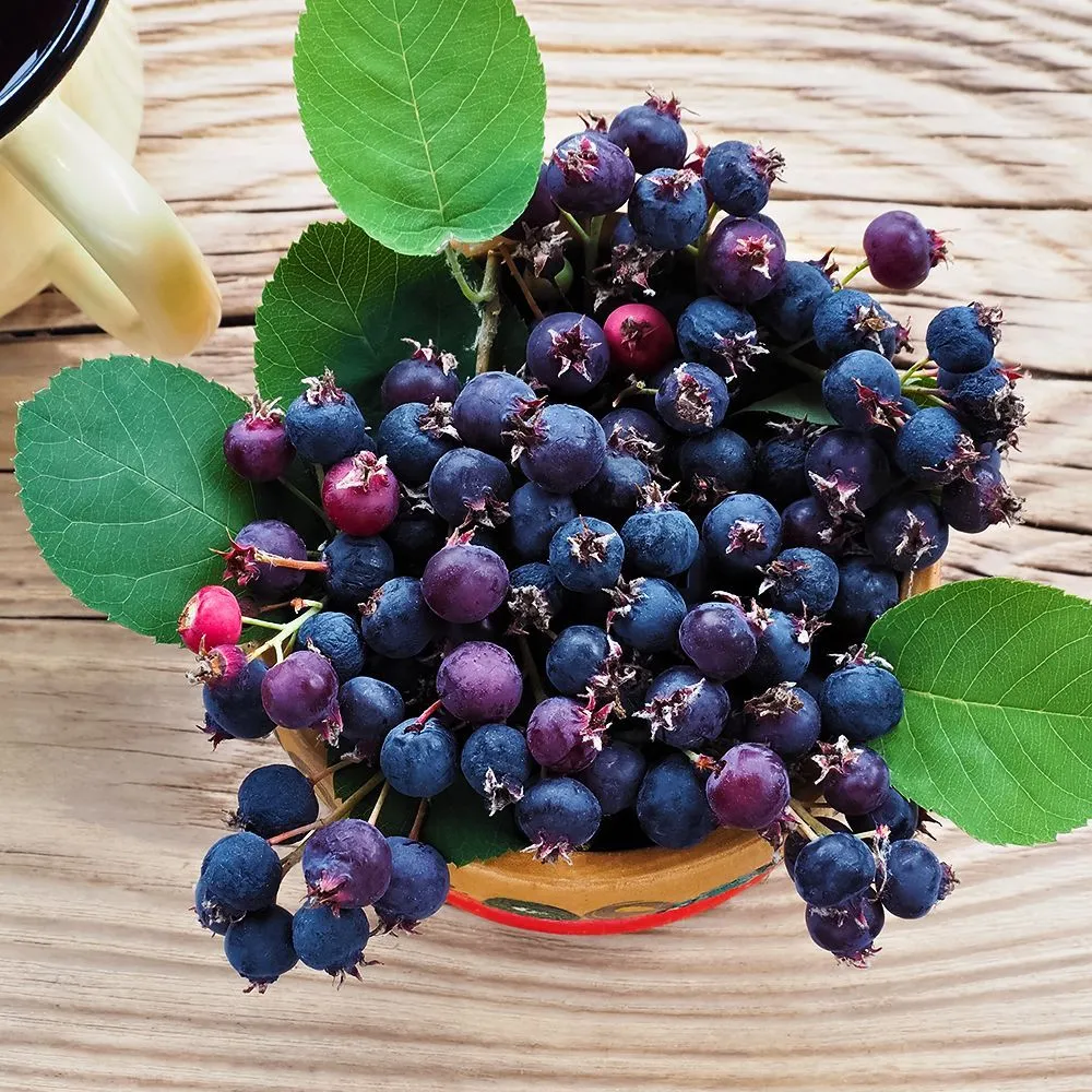 ИргадлясложныхпочвПринцВильям