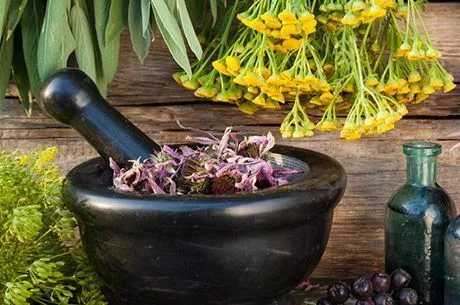 Календарь садовода и огородника на октябрь 2020 года