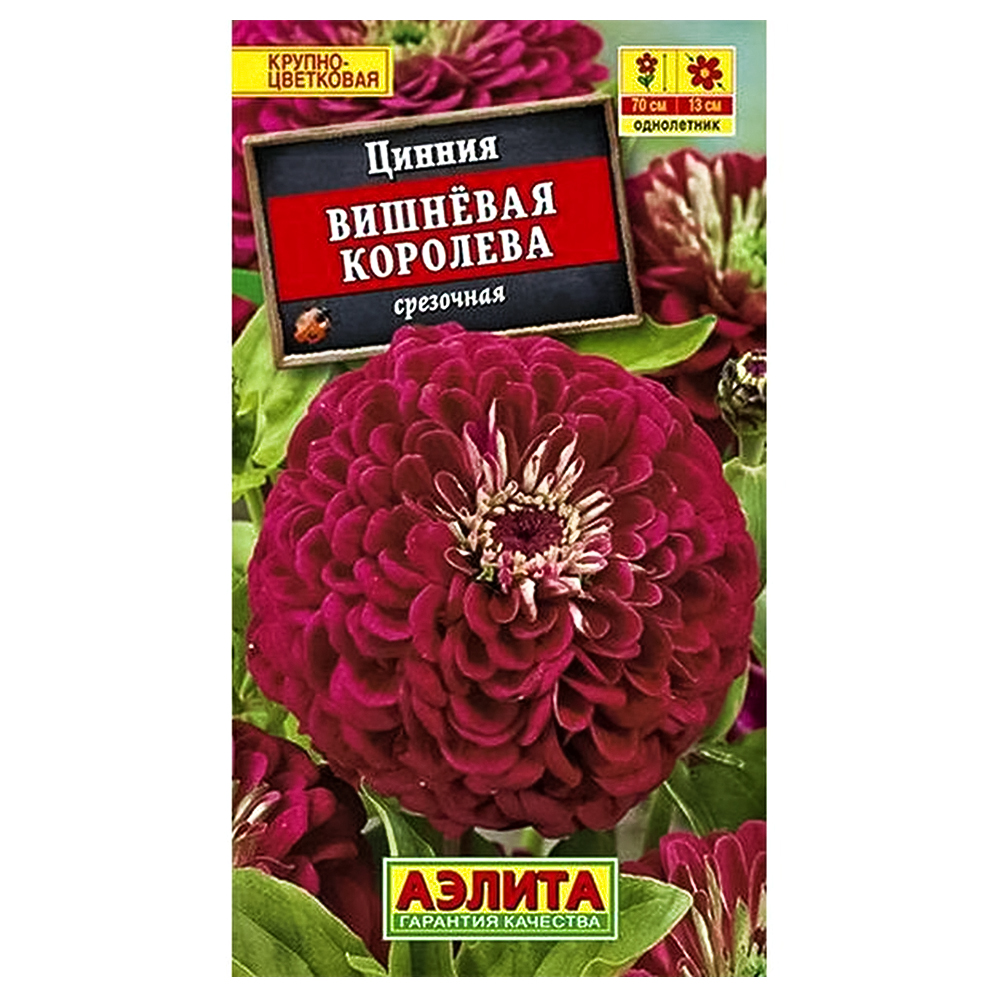 Цинния Вишневая королева Аэлита