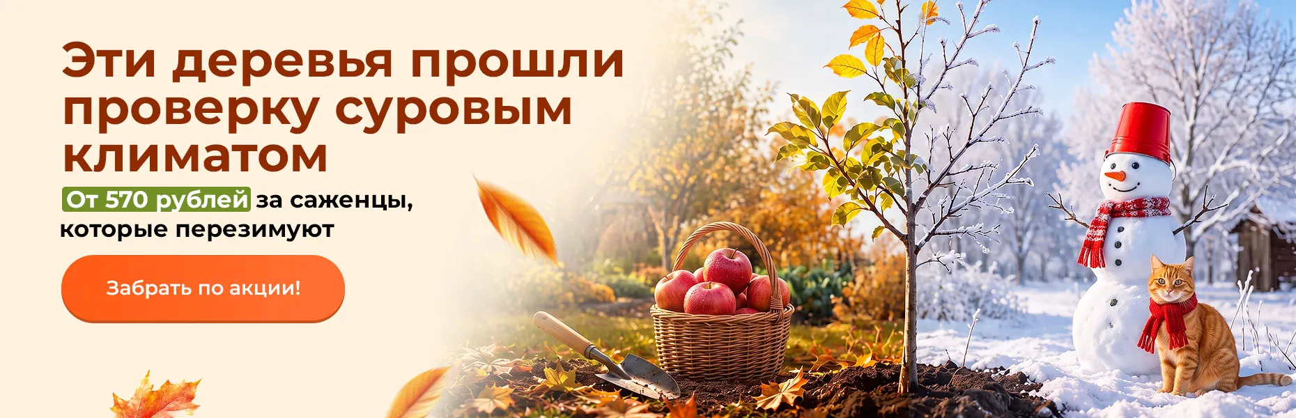 Эти деревья прошли проверку суровым климатом! От 570 рублей за саженцы, которые перезимуют
