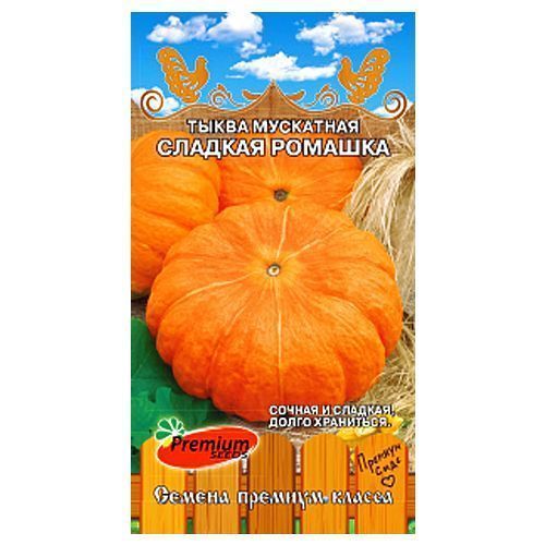 

Тыква Сладкая ромашка Premium Seeds