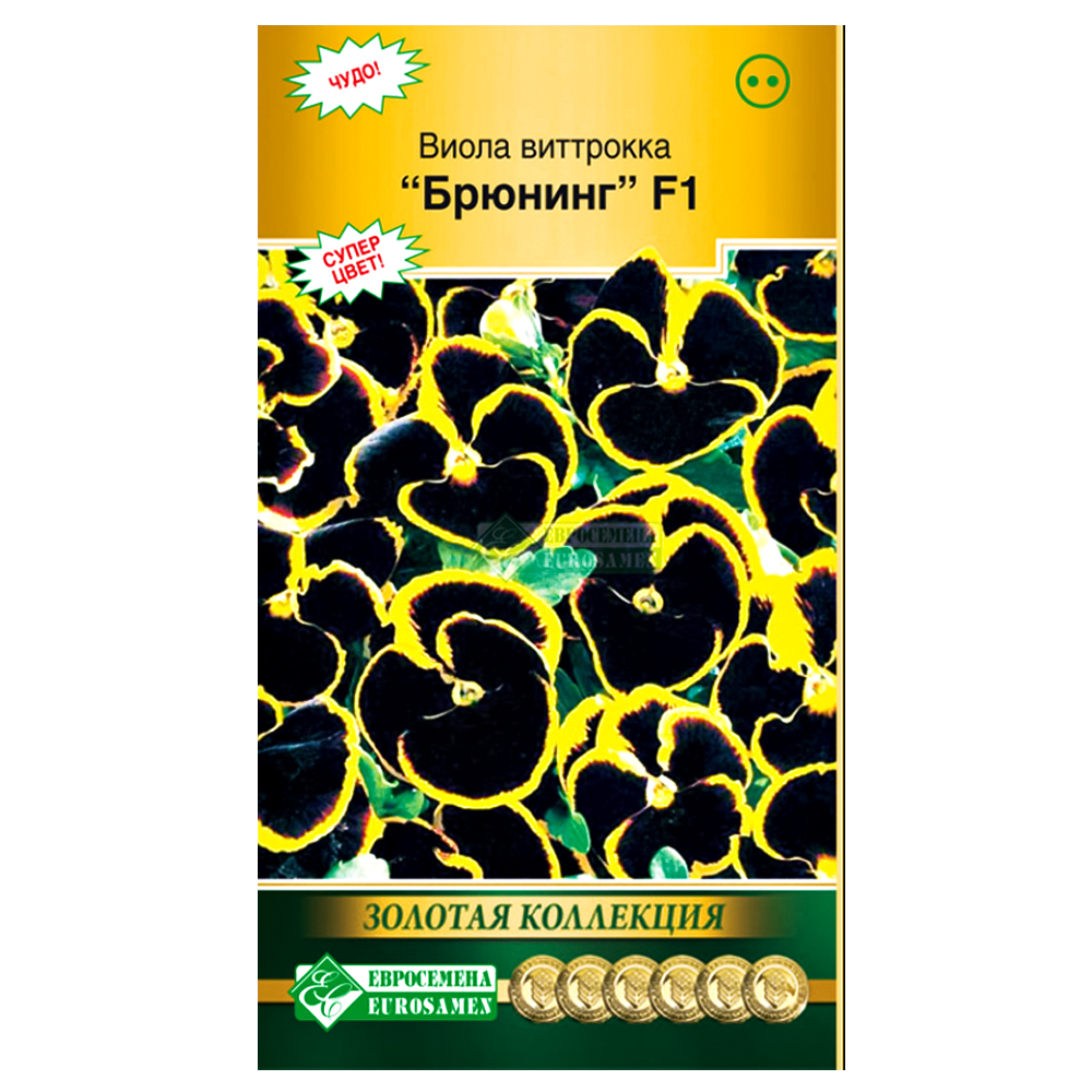 Виола Виттрока Брюнинг F1 Евросемена