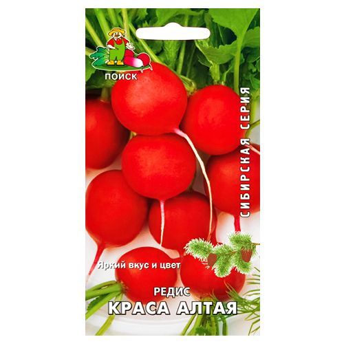 

Редис Краса Алтая Поиск