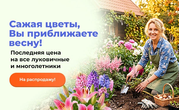 Сажая цветы, Вы приближаете весну! Последняя цена на все луковичные и многолетники