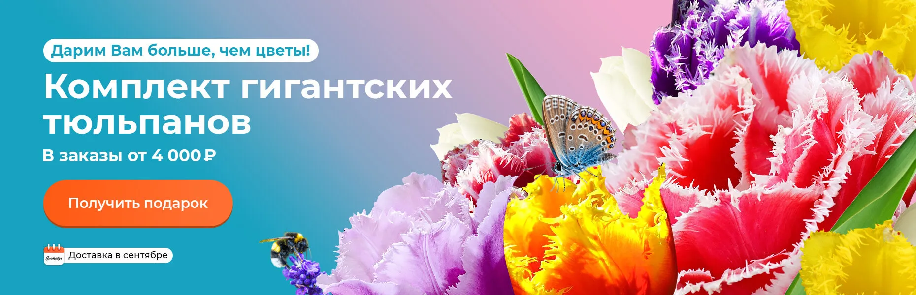 Дарим Вам больше, чем цветы! Комплект гигантских тюльпанов В заказы от 4000 рублей