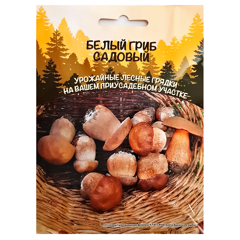 Белый гриб садовый Уральский дачник