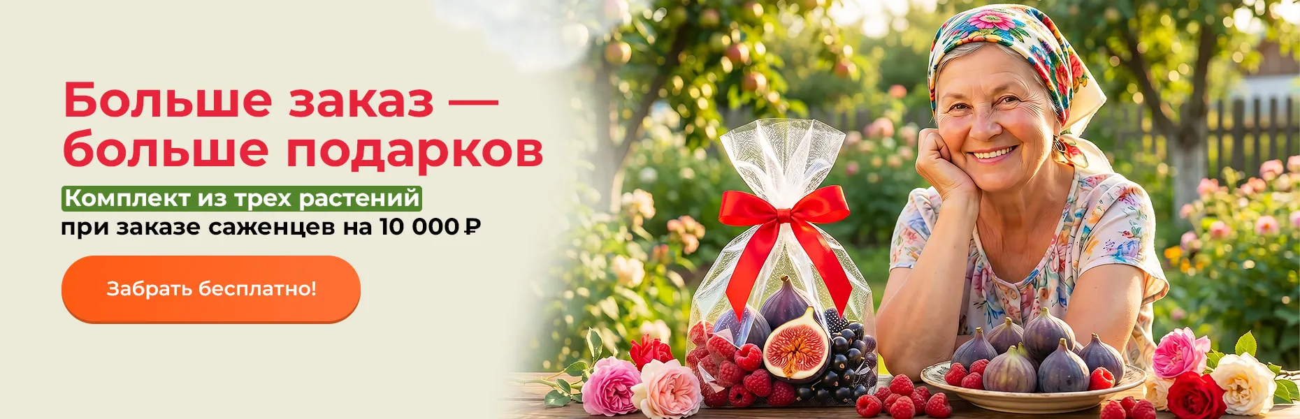 Больше заказ — больше подарков! Комплект из трех растений при заказе саженцев на 10 000 рублей
