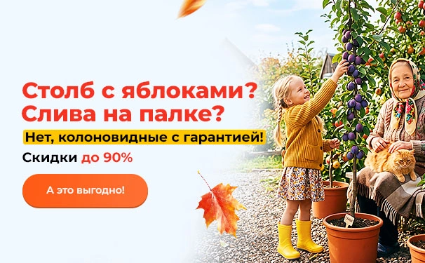 Столб с яблоками? Слива на палке? Нет, колоновидные с гарантией! Скидки до 90%