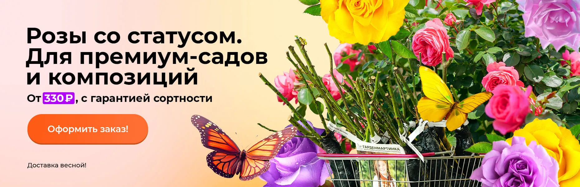 Розы со статусом. Для премиум-садов и композиций! От 330 ₽, с гарантией сортности. Доставка весной!