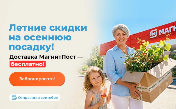 Летние скидки на осеннюю посадку! Доставка МагнитПост — бесплатно! Отправим в сентябре