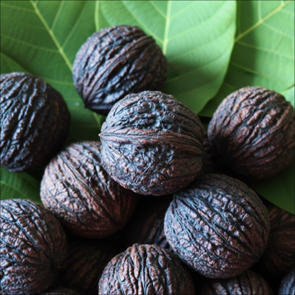 Орех черный Эмма К