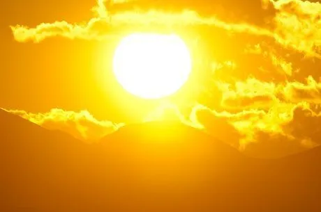 Что посадить на юге России и на солнцепеке