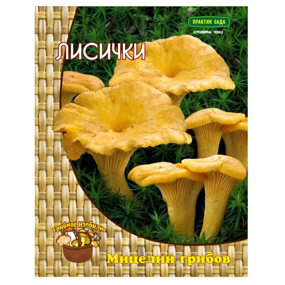 

Лисички Поиск