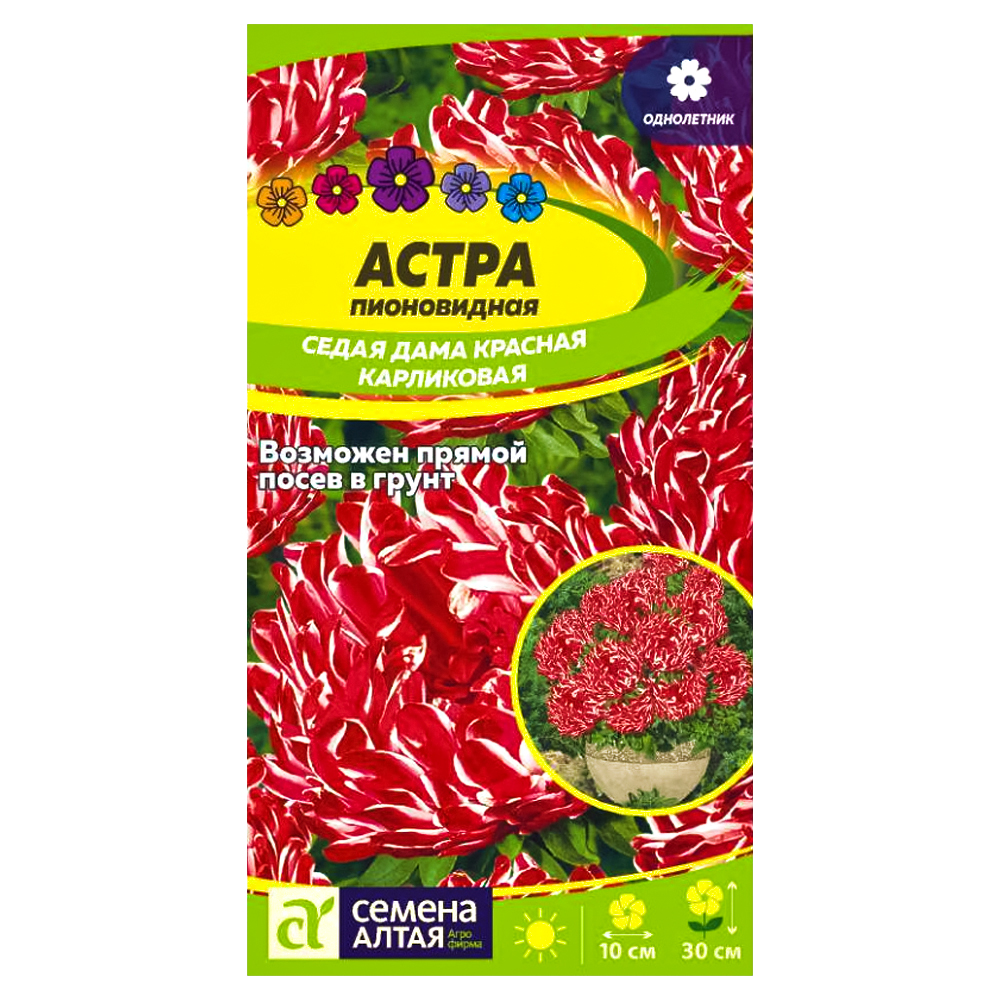 

Астра пионовидная карликовая Седая дама красная Семена Алтая