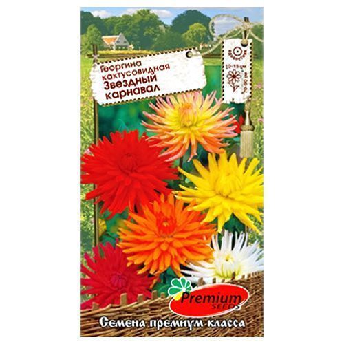 

Георгина кактусовидная Звездный карнавал, смесь окрасок Premium Seeds
