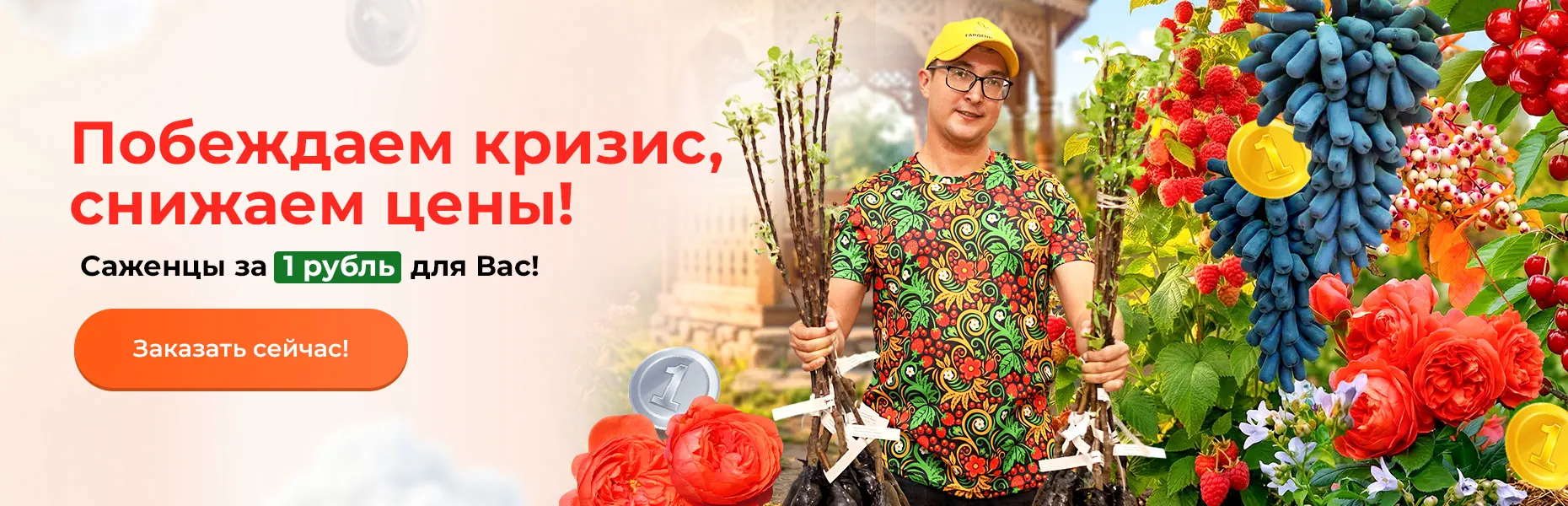 Побеждаем кризис, снижаем цены! Саженцы за 1 рубль для Вас!