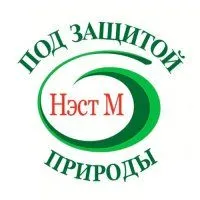 Нэст М