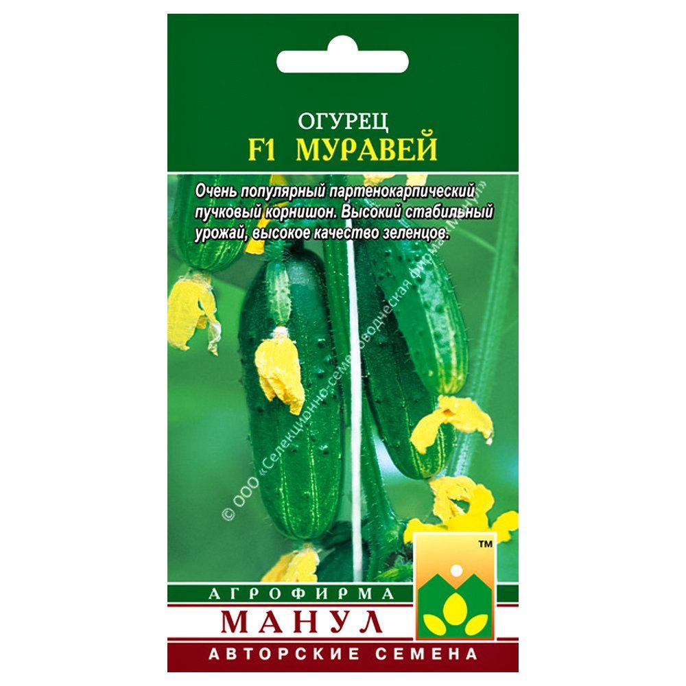 

Огурец Муравей F1 Манул