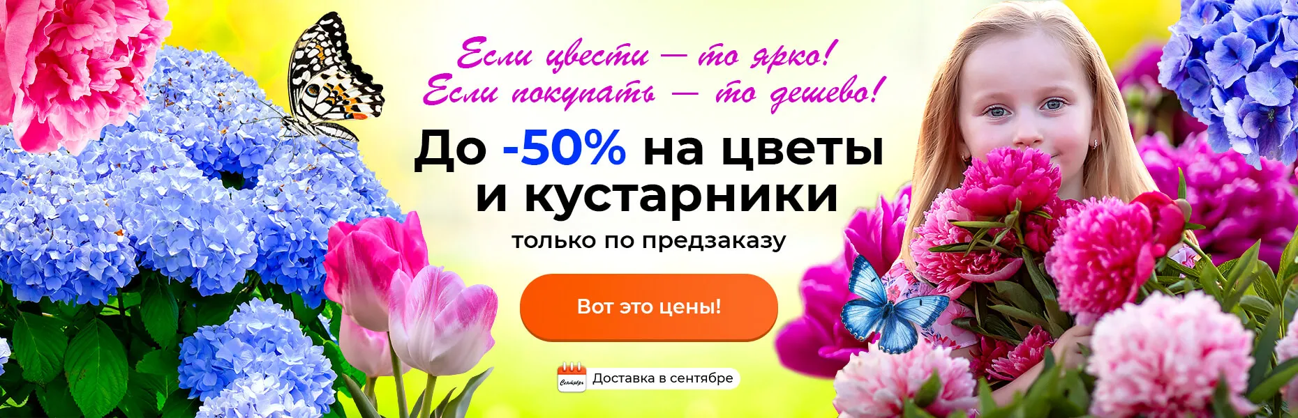 Если цвести — то ярко! Если покупать — то дешево!  До -50% на цветы и кустарники только по предзаказу